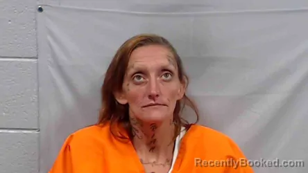 Mugshot of Judy Justina Brinkley booked in Mercer County, West Virginia on August 6, 2026