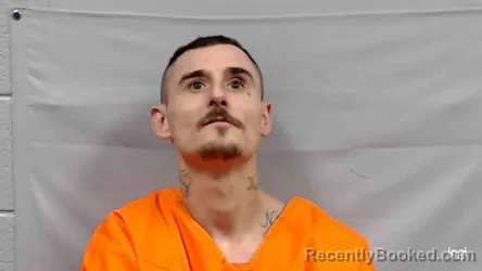 Mugshot of Jamie Lee Lucas