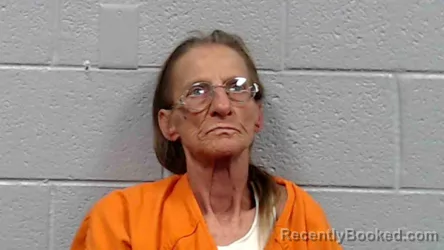 Mugshot of Janice Mae Thompson booked in Mercer County, West Virginia on October 17, 2026