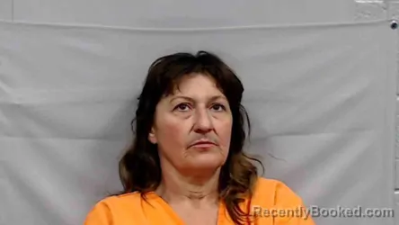 Mugshot of Melissa Mae Lane