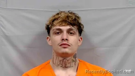 Mugshot of Ryan Lee Quillian