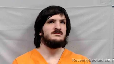 Mugshot of Ryan Xavier DiNovo