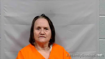 Mugshot of Teresa Faye Meadows booked in Mercer County, West Virginia on April 20, 2026