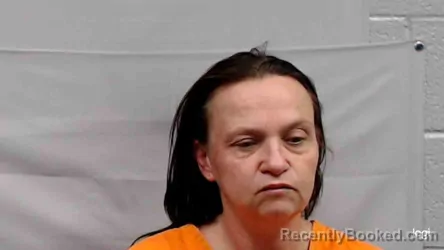 Mugshot of Tabitha Kay Townley