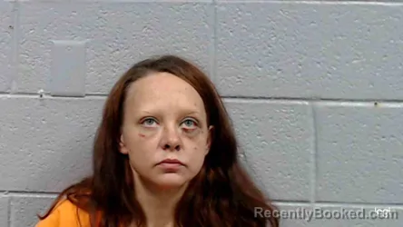 Mugshot of Tonya Renea Church booked in Mercer County, West Virginia on October 11, 2026