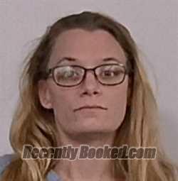 Booking photo from Mineral County, West Virginia