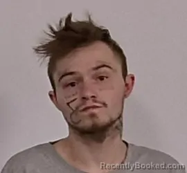 Mugshot of Gavin Lee Gregory