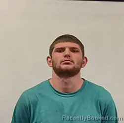 Mugshot of Lee Dewey Davis booked in Mineral County, West Virginia on March 28, 2026