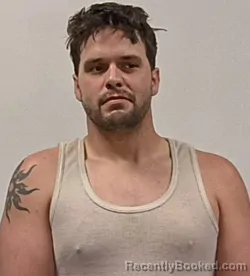 Mugshot of Tyler Daniel Johnson booked in Mineral County, West Virginia on April 5, 2026