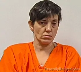 Mugshot of Tonya Lynn Vanmeter