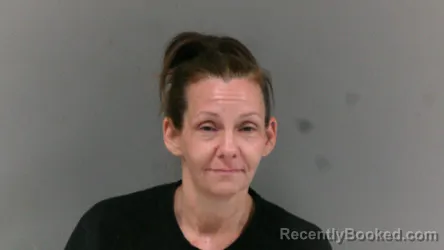 Mugshot of Amanda Lynn Williamson booked in Mingo County, West Virginia on April 18, 2026