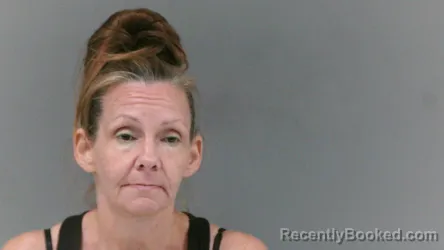 Mugshot of Amanda Lynn Williamson booked in Mingo County, West Virginia on August 13, 2026