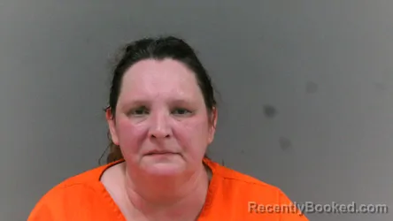 Mugshot of Delores Ann Hopkins booked in Mingo County, West Virginia on March 31, 2026