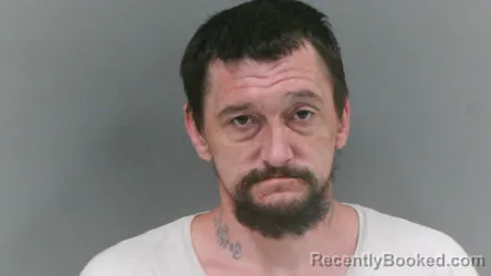 Mugshot of Dennis Edward Mcneely booked in Mingo County, West Virginia on October 17, 2026