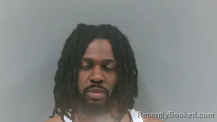 Mugshot of Dominick Terrel Davidson booked in Mingo County, West Virginia on August 4, 2026
