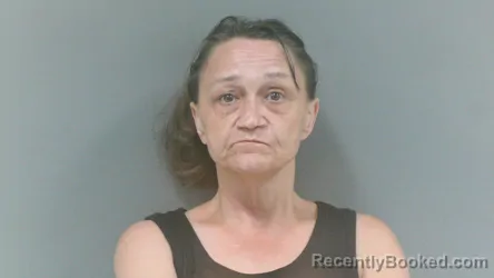 Mugshot of Judy Suzanna Cook booked in Mingo County, West Virginia on July 31, 2026