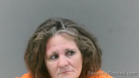 Mugshot of Katrina Lynn Fillinger