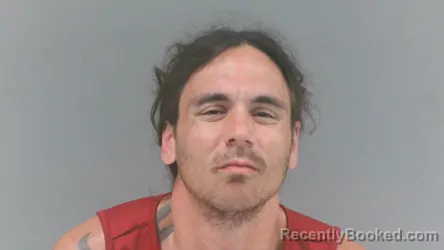 Mugshot of Michael Daniel Williams booked in Mingo County, West Virginia on August 4, 2026