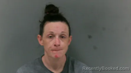 Mugshot of Merissa Gail Pruitt booked in Mingo County, West Virginia on June 24, 2026