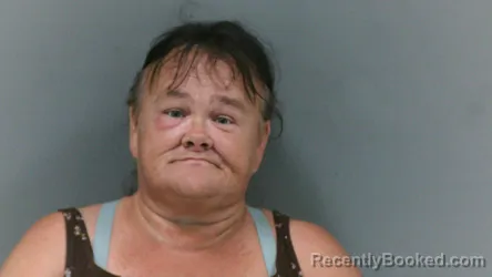Mugshot of Margaret Louise Reed booked in Mingo County, West Virginia on August 17, 2026