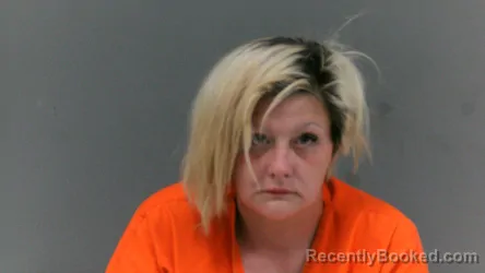 Mugshot of Tiffany Ann Bowen booked in Mingo County, West Virginia on June 2, 2026