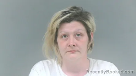 Mugshot of Tiffany Ann Bowen booked in Mingo County, West Virginia on July 28, 2026