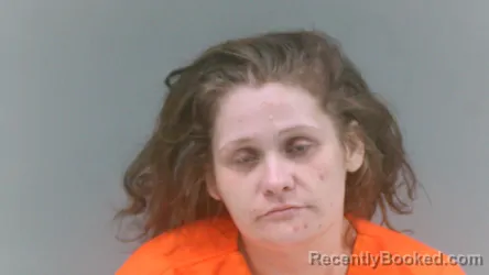 Mugshot of Trina Elizabeth Hinkle booked in Mingo County, West Virginia on July 5, 2026