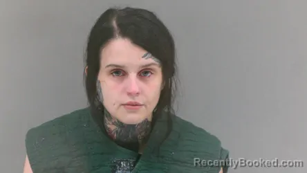 Mugshot of Tasha Nicole Coleman booked in Mingo County, West Virginia on July 29, 2026