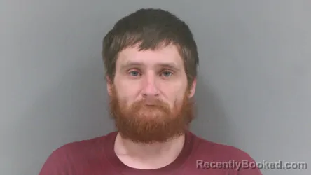 Mugshot of William Wallace Newsome booked in Mingo County, West Virginia on August 4, 2026
