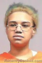 Mugshot of Jakeira Elizbeth Wright