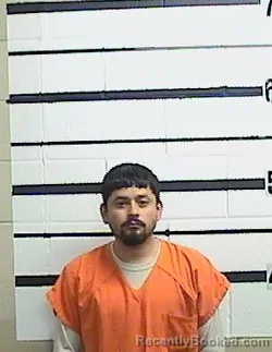 Mugshot of IGNACIO PERALTA