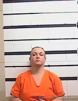 Mugshot of MIRANDA L FERGUSON