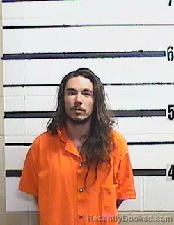 Mugshot of DILLON E RICHARDS