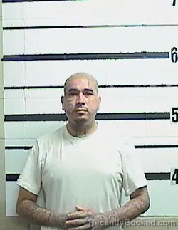 Mugshot of TERRY J FLORES