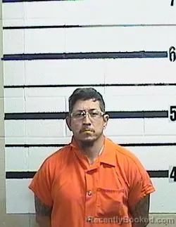 Mugshot of JOEL A FLORES