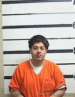 Mugshot of CARMELLO DELEON