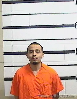 Mugshot of JULIO AVINA