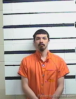 Mugshot of CAMERON L WOODARD