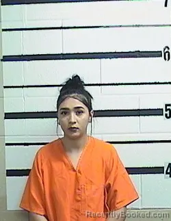 Mugshot of DIMREE MENJARES booked in Garza County, Texas on April 20, 2026