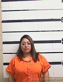 Mugshot of ROXANNE N NAVARRO