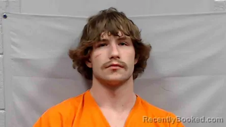 Mugshot of Austin Emry Harper