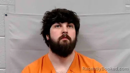 Mugshot of Austin Lee Ryan