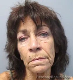 Mugshot of Brenda Lynn Zink booked in Morgan County, West Virginia on September 15, 2026