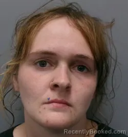 Mugshot of Brandi Marie Payne booked in Morgan County, West Virginia on July 26, 2026