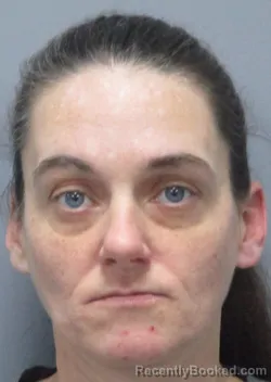 Mugshot of Brittany Nicole Clark booked in Morgan County, West Virginia on April 28, 2026