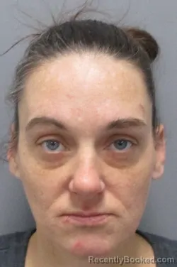 Mugshot of Brittany Nicole Clark booked in Morgan County, West Virginia on June 30, 2026