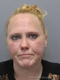 Mugshot of Brittany Nichole Snowden booked in Morgan County, West Virginia on June 2, 2026