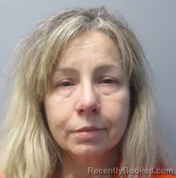 Mugshot of Dawn Michelle Brown booked in Morgan County, West Virginia on June 29, 2026