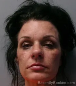 Mugshot of Danielle M Pearson booked in Morgan County, West Virginia on July 12, 2026