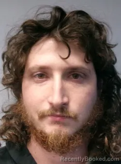 Mugshot of Dakota Robert Lewis